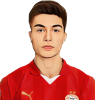 Esmir Bajraktarevic